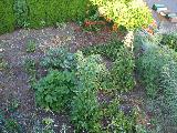 garden_patch_aerial_2