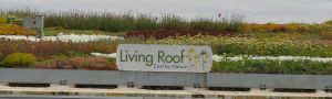 Living Roof close-up