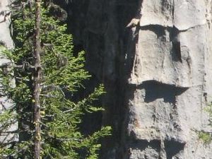 Odd ribbed strata in the rock