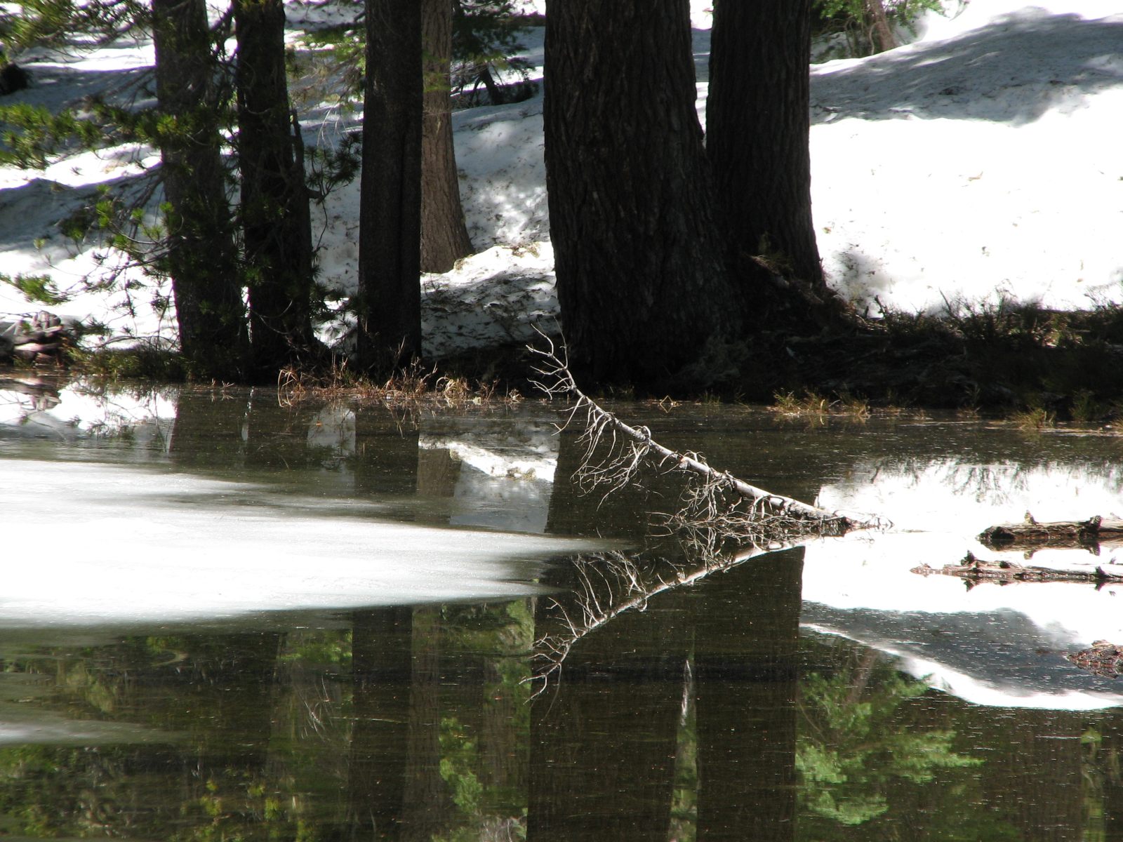 21_Mirror_pond_detail